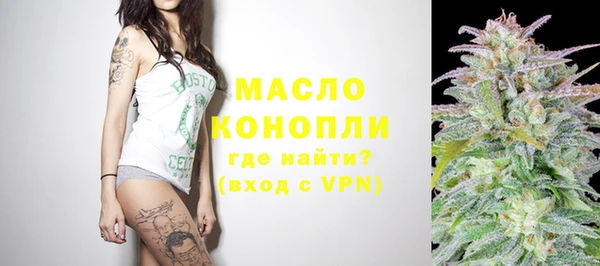 гидра Корсаков