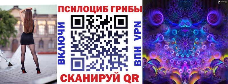 Псилоцибиновые грибы мухоморы  Купить закладки  Всеволожск 