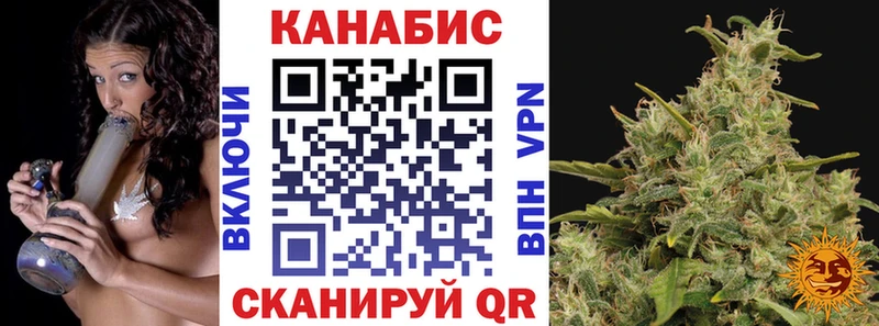 Канабис OG Kush  Купить  Всеволожск 
